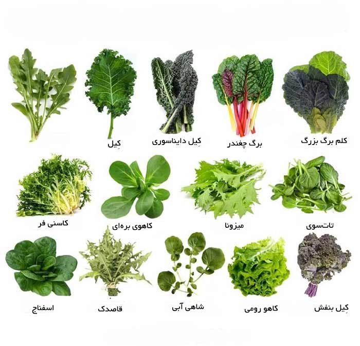 سبزیجات برگ سبز